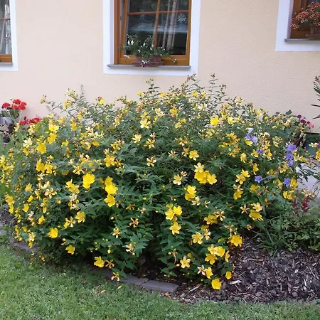 Pansiyon Haus Margit