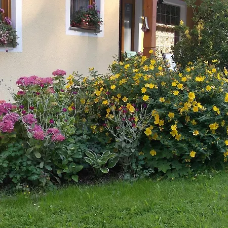 ホームステイ Haus Margit