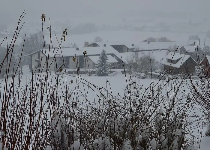 Haus Margit Homestay *