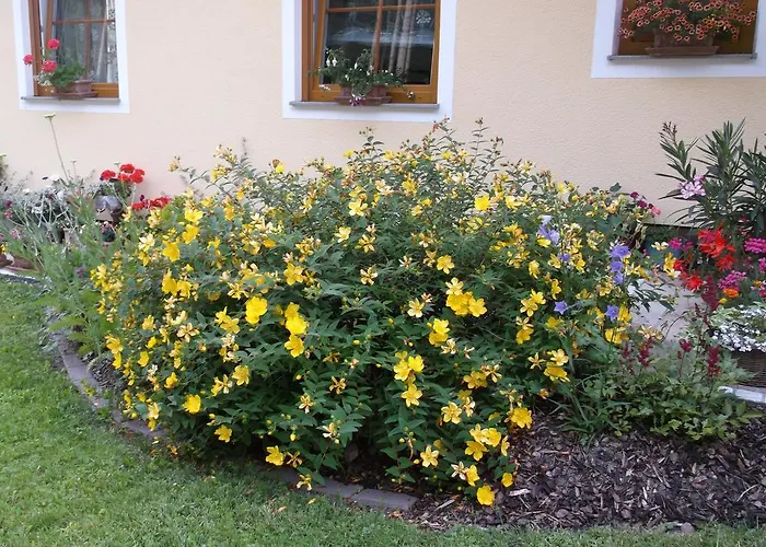 Homestay Haus Margit